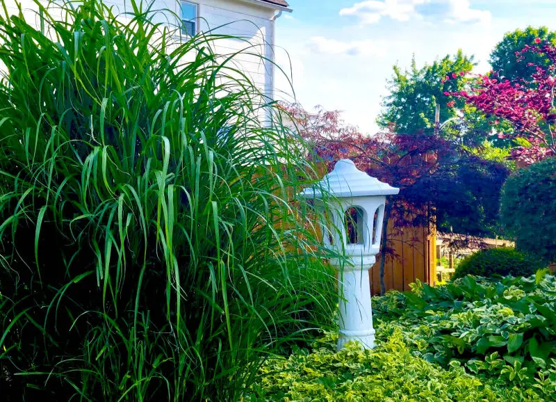 Get lost in exotic landscape designs with cold hardy plant selections installed for year round beautification. Natural stone, rich mulch, luscious plants, and functional garden features, we can have your dream garden built, installed and maintained in no time. 